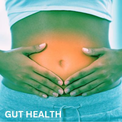 gut-health